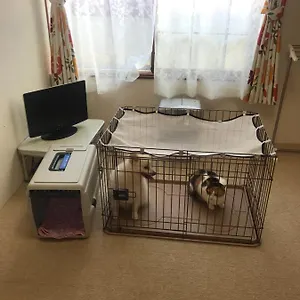 Stayあけぼし館 アパート 函館市
